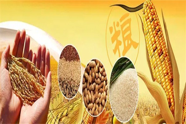 紙殼超人 一碗糧油的溫暖覺(jué)醒